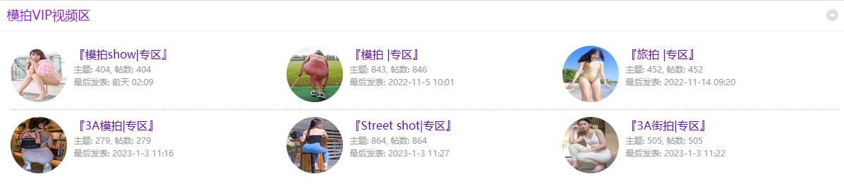 街拍视界论坛-模拍VIP视频区街拍视频打包，共3345套街拍视频下载合集！
