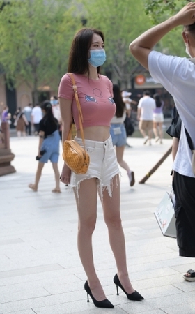 丰满可爱的小猫咪