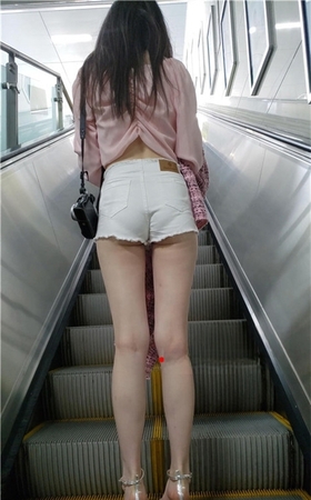 （视频）“牧羊”女孩