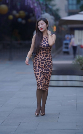 豹纹 [26P]