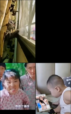 第554期–主播【杀青鸡】共160个短视频合集，时长共0:39:0，大小0.89GB！