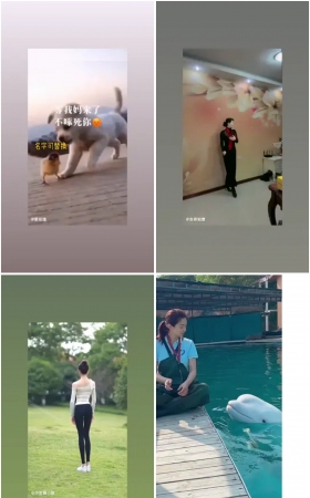 第115期：抖音主播【春】2632部短视频合集，视频时长18:13:14，大小13.3GB