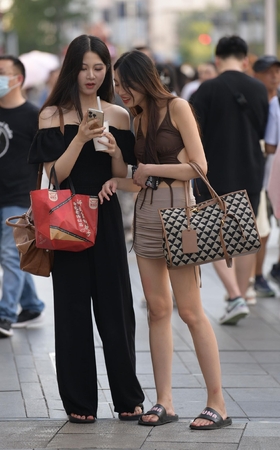 娇艳欲比玫瑰
