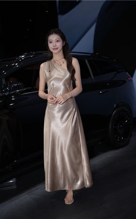 丝滑的长裙美女车模(36P)
