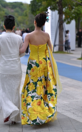 黄花裹胸长裙美女