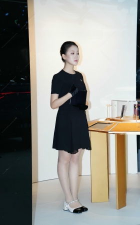 （上集）2024年收官力作：11月某大型che展SW美女全套图集 [29P]