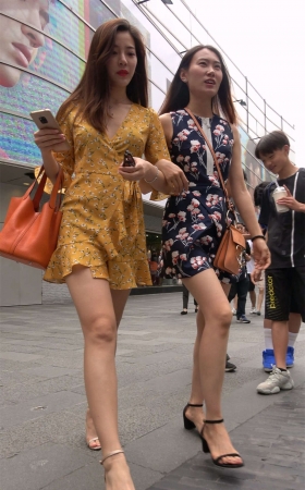 气质美女姐妹