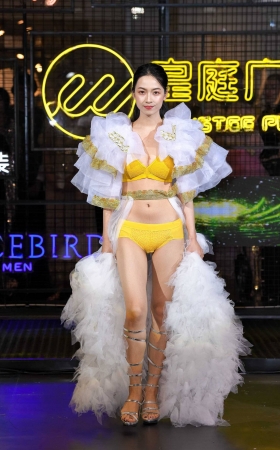 金黄内衣 [15P]