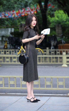 苗条淑女 [13P]
