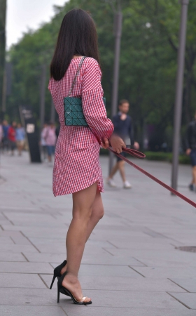路边遛狗的长腿美女2 [25P]