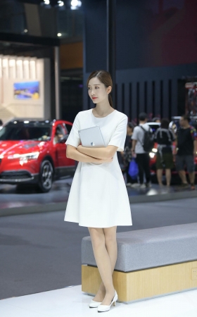 车展的白裙礼仪导购小姐姐 [18P]