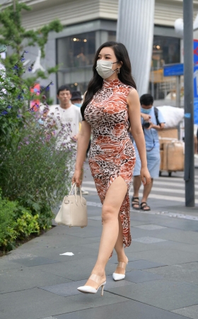 街拍开衩裙成熟优雅贵妇 [20P]