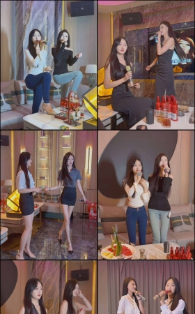 第532期–主播【婷婷来了】共32个短视频合集，时长共0:6:3，大小0.15GB！