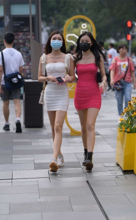 简约修身裙