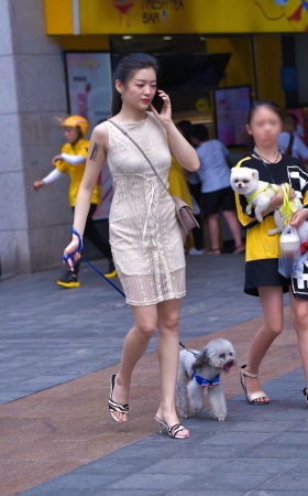 遛狗美女，迷倒我了~ [21P]
