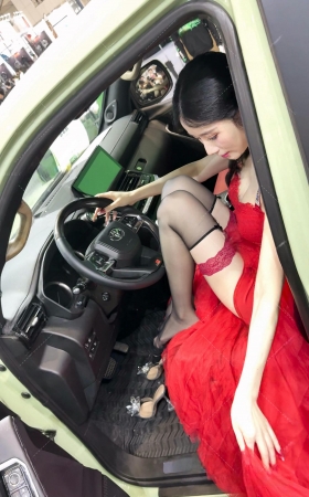 红裙薄丝 [6P]