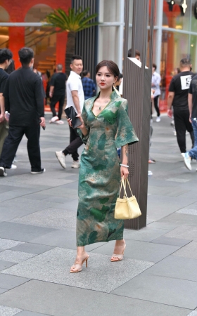 街拍轻熟长裙朲槭 [18P]
