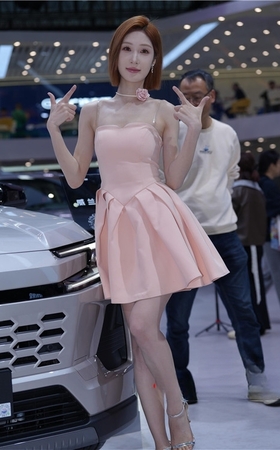 粉裙美模(29P)
