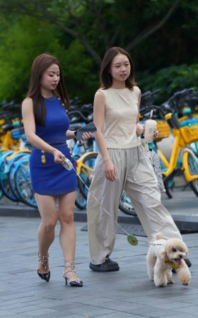 养狗狗的蓝色裙美腿美女 [19P]