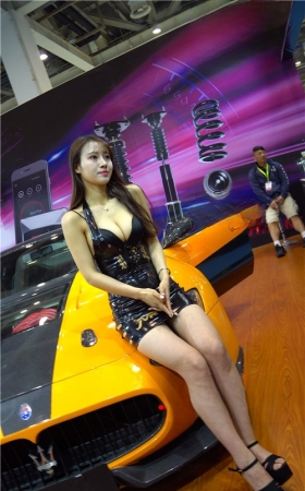 性感的皮裙车模美女
