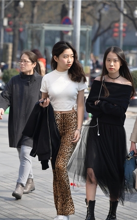 豹纹紧身裤小姐姐(339P)