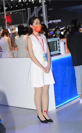 肉丝礼仪小姐(23P)