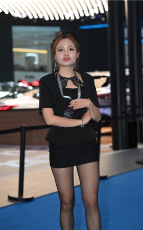 黑丝短裙美女(117P)