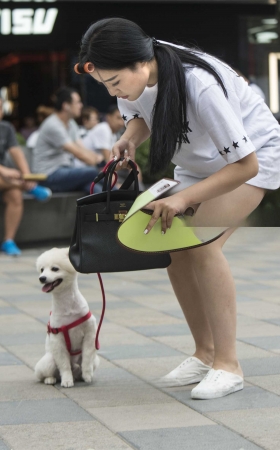美女与狗狗 [10P]