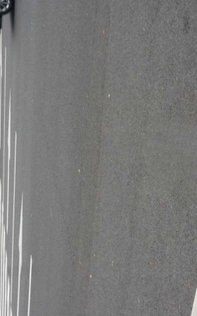 正在等车的短裙洋妞 [12P]