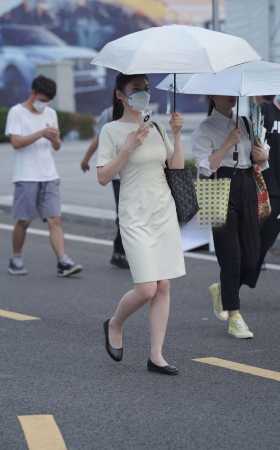 连衣裙R丝 [21P]