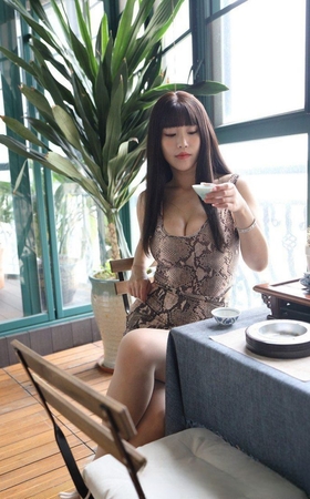 第一篇：蛇纹包屯裙丝袜美女MJ490