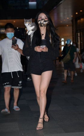 可爱猫 [21P]