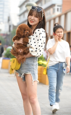 抱小狗的女孩(98P)