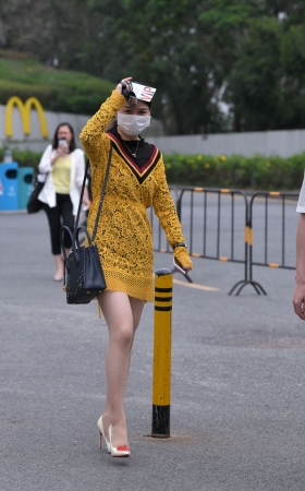 黄衣丝袜高跟