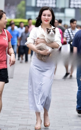 左手倒影赛帖：大气唯美的美女与她可爱的宠猫猫 [15P]
