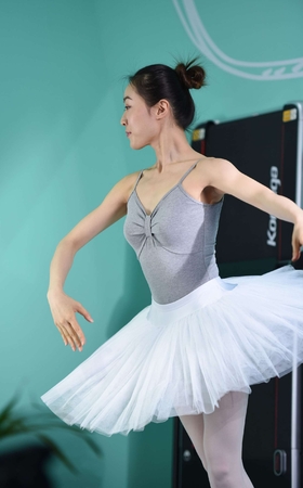 J176芭蕾天鹅