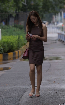 一只麋鹿摄影作品 褐色包臀裙美女