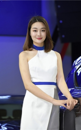 车模云集(251P)