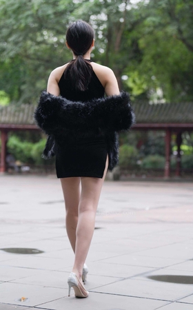 性感黑色短裙丝袜美女 【图片➕视频】 [10P]