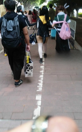 【二次元世界②开档丝袜+高叉T泳装 [19P]
