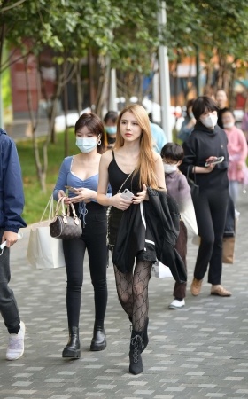 网袜美女 [20P]