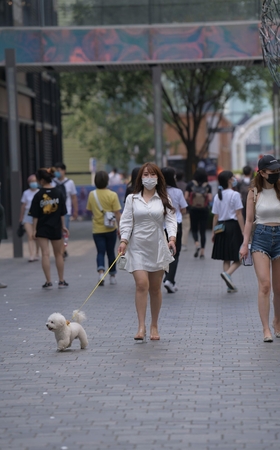 遛狗的丰腴白裙妹子