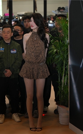 肉丝短裙美女(124P)