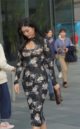 气质旗袍秀